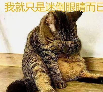 4b14a695956d4966863ba39c7c93d5a4.jpeg