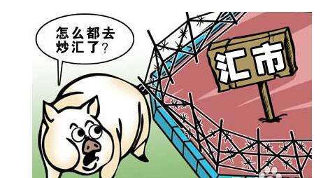 ac7e984bc82048b88992897243273007.jpeg