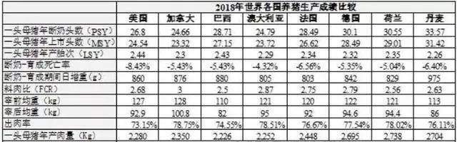 见闻记录|这一次，从养猪开始，将传统农业重做一遍