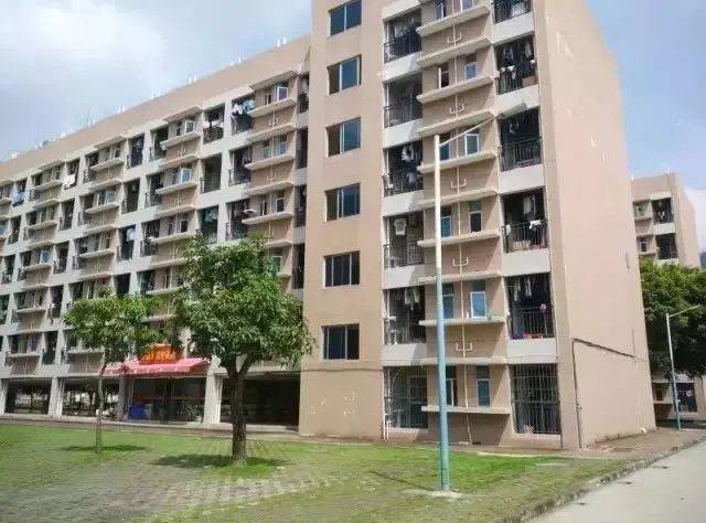 宿舍|高职高考必看｜全面了解广东工程职业技术学院