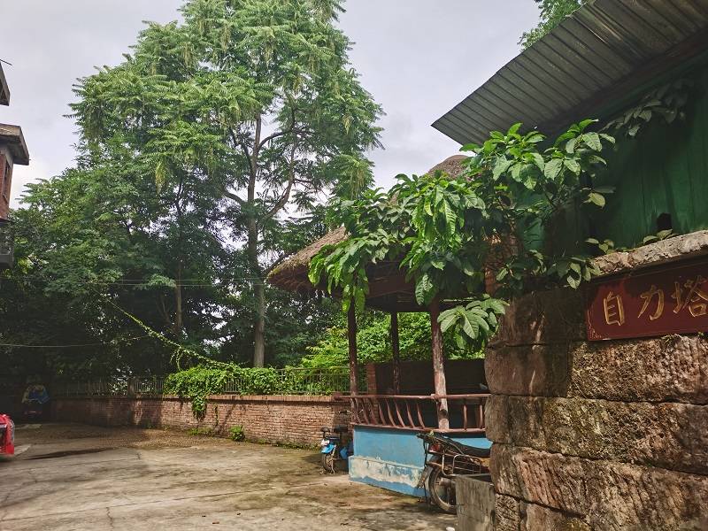 教师风采|资阳市雁江区幸福博文学校教师个人风采展示系列之——站成永恒