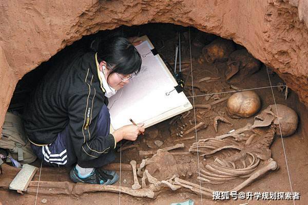 考古学专业大学排名_山东大学博物馆跻身国家一级博物馆新时报记者带您