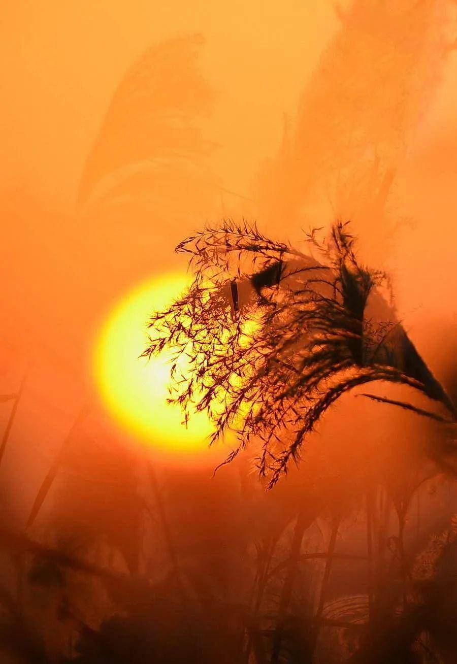 刘超|鹿门诗苑／刘超诗选