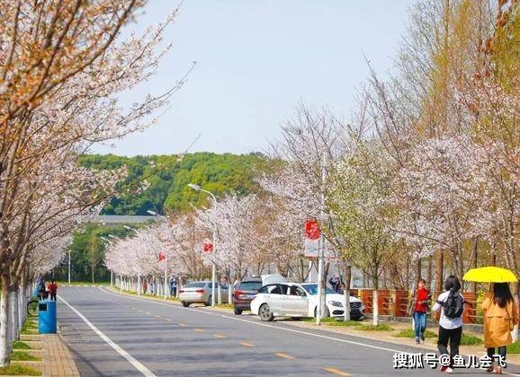 考生|华中农业大学2020年预估录取分数线出炉扩招！华中农业大学湖北招生上千人