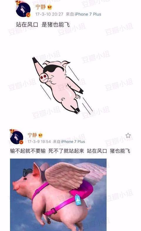 8eb890907d404e34b108879696f39660.jpeg