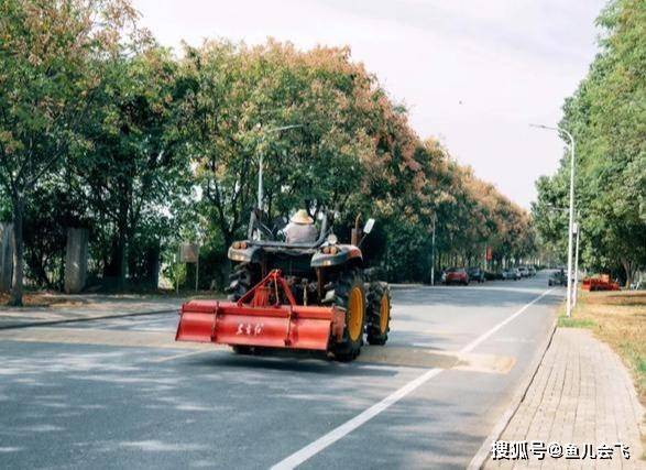 考生|华中农业大学2020年预估录取分数线出炉扩招！华中农业大学湖北招生上千人