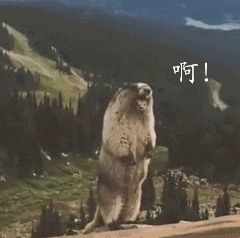 哪种动物一直在换牙