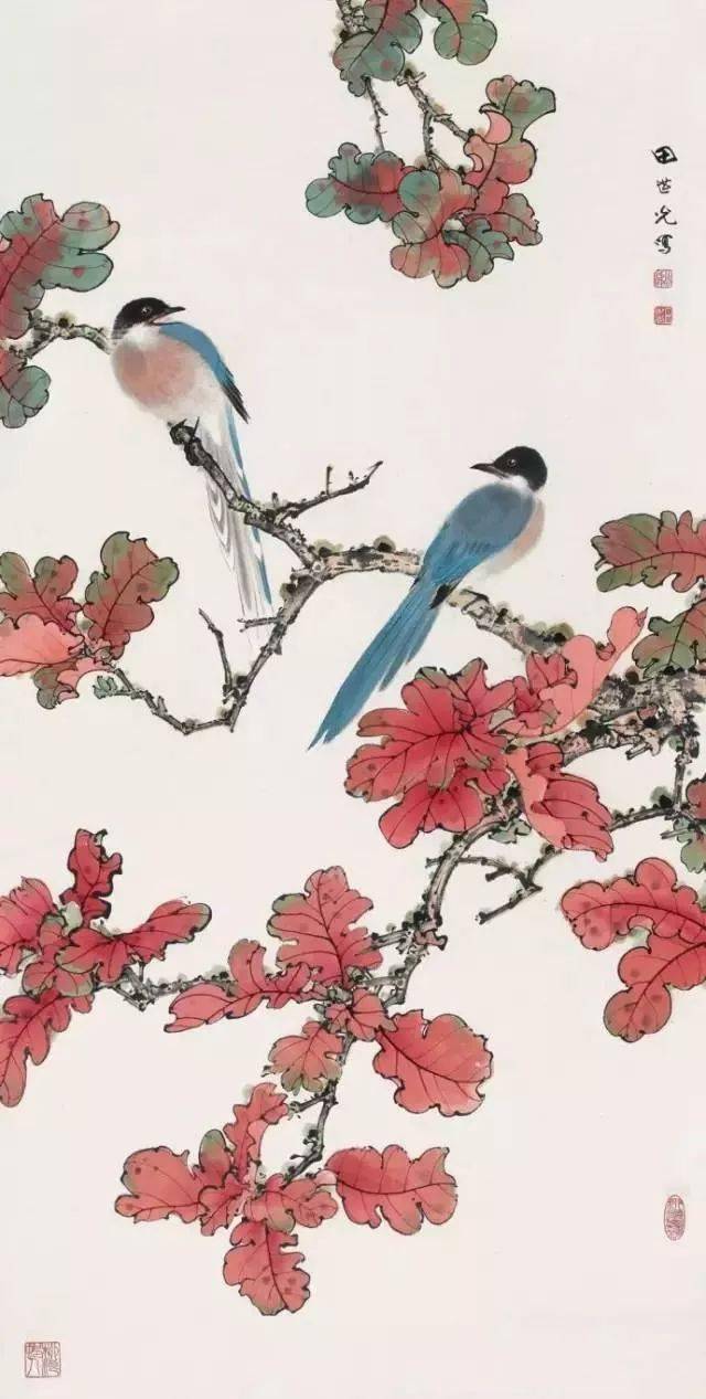 中国现代工笔花鸟画名家田世光绘画作品欣赏_搜狐网