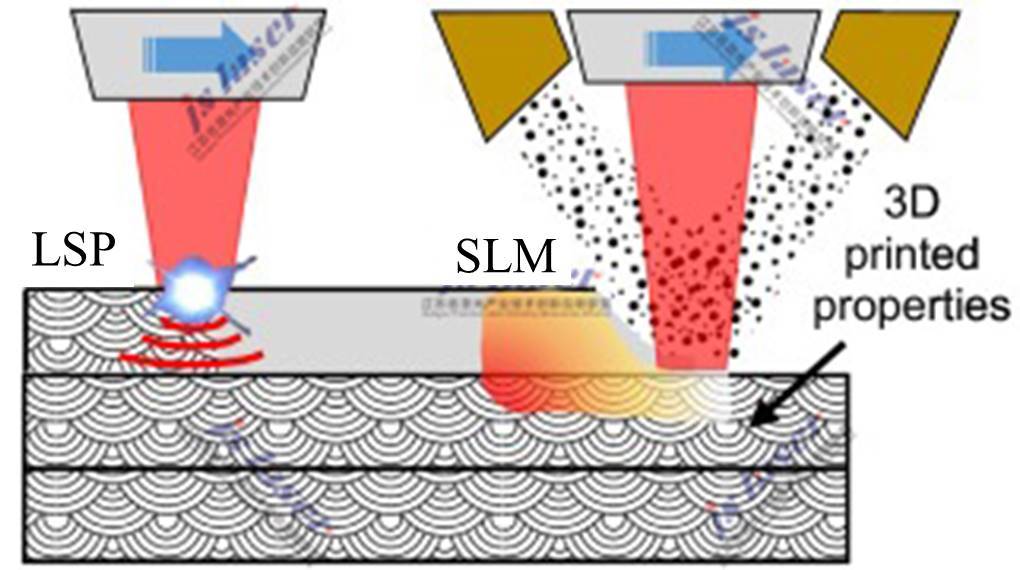 原创复合slm lsp,显著提高slm部件疲劳性能的利器(2)