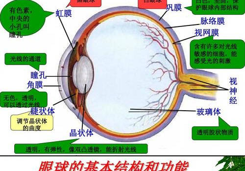 一般600度以上为高度近视,因眼球结构变化应密切关注眼底健康