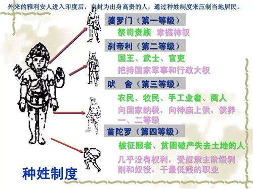 婆罗门 人口_婆罗门鸡(2)