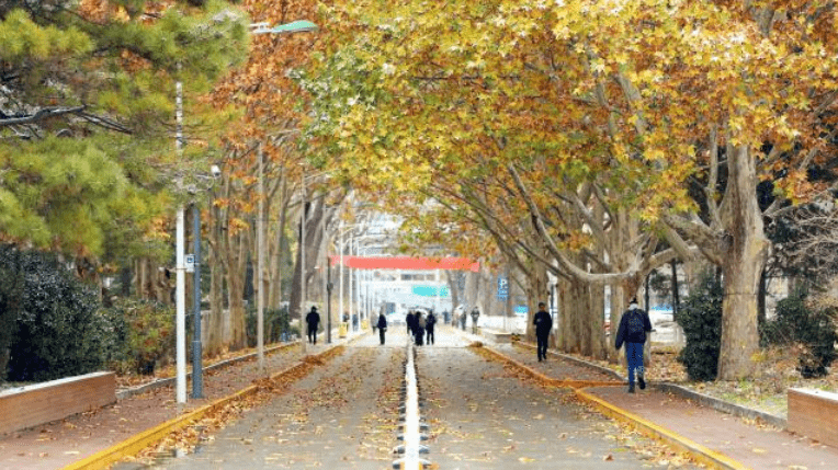 神坛|神坛跌落，再度爆冷！录取分数直线下跌！香港中文大学