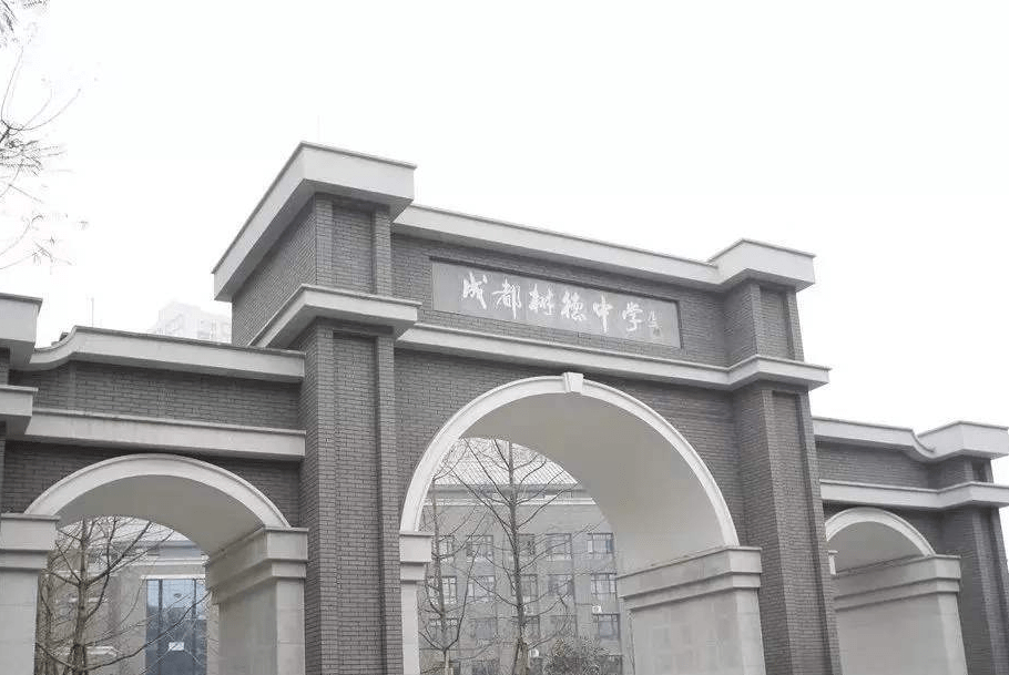 2020年中考成绩排名_乘风破浪!2020年深圳中学中考招生分析!