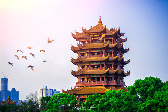 湖北a级景区免费开放至年底,驴迹科技全面丰富智慧旅游体验