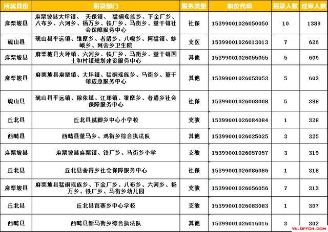 麻栗坡招聘_2021年文山州麻栗坡县融媒体中心招聘公告(5)