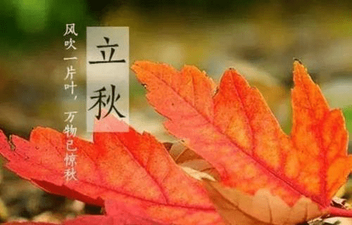 899a29c3830a425bbf7e6ae8004f9b60.png