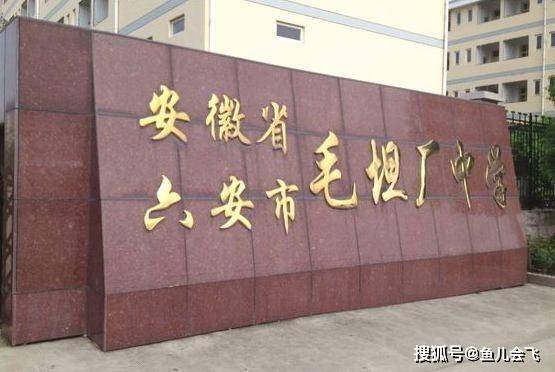 高考|一个亚洲高考工厂，衡水中学毛坦厂中学谁强一个清华优质生源地
