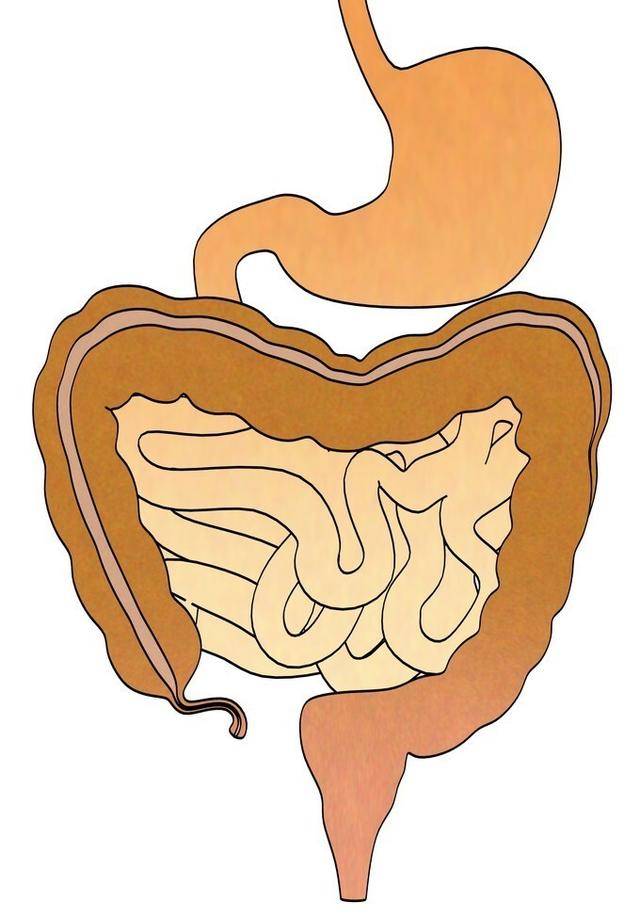 原创喝水6分钟变成尿,所以喝啤酒时,尿得又快又多的人肾最好 原创喝水6分钟变成尿,所以喝啤酒时,尿得又快又多的人肾最好