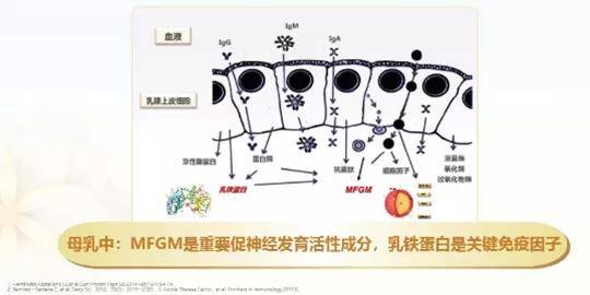 你以为宝宝只要吃饱就能聪明成长，真相往往不是你想的那样…