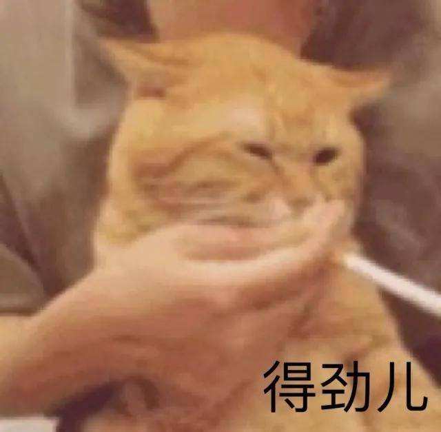 江景房|笑死！450㎡江景房装修只花4500，今年最潮“叙利亚风”，就问你服不服！