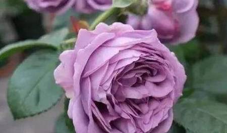 c404a0df54fe48859b9bfafae8fbd90c.jpeg