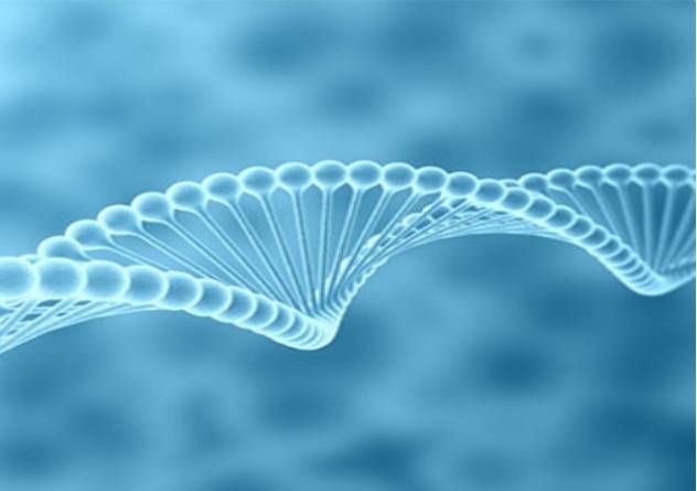 新冠肺炎对2020中国G_中国新冠肺炎疫情图(2)