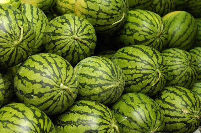 西瓜怎么挑选比较甜 7c8e7c66cb3044ef9c9ef7a9ba5172c6.jpeg
