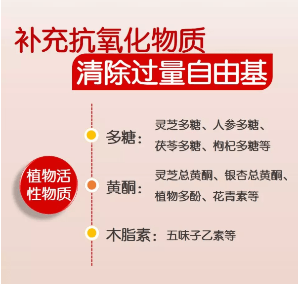 抗氧化原理是什么意思_抗氧化是什么意思