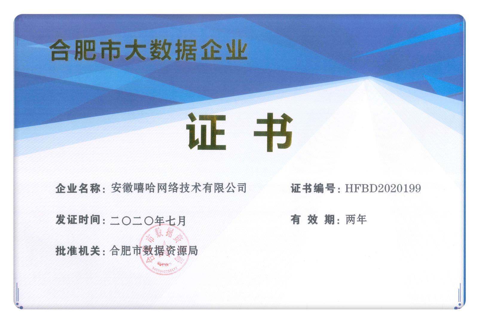 服务器|热烈祝贺安徽嘻哈网络技术有限公司获批“大数据企业”