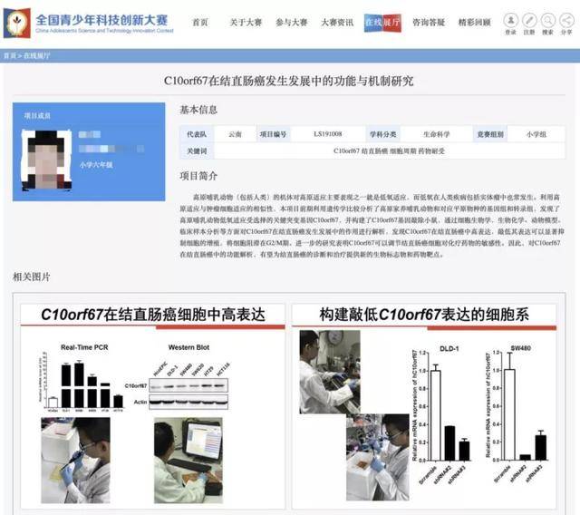 網友開發滿分作文生成器，擺明嘲諷滿分作文《生活在樹上》 科技 第2張