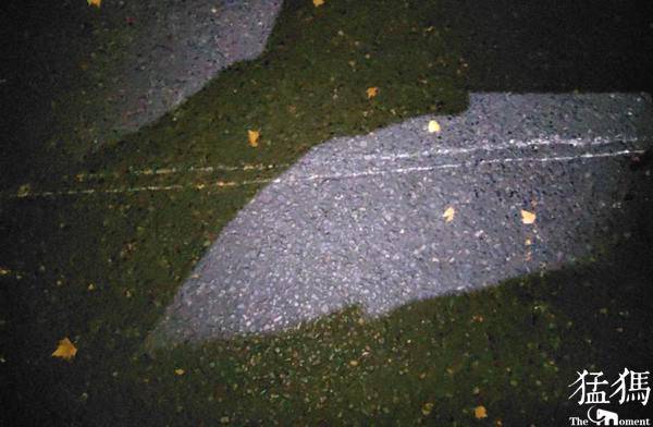 朋友|别再这么停了！共享单车停错位置 夜间直接把人“撞”进了医院