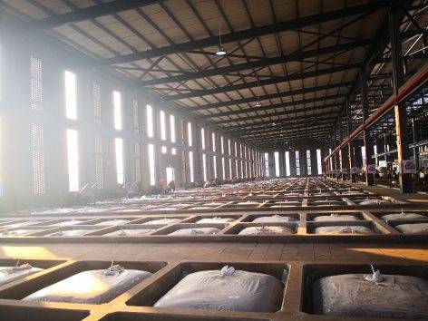 酿造|用好喝口感打动年轻消费群体江小白专心做好酒