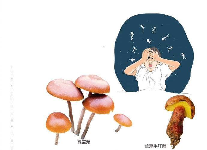 大美中国菌子王国云南
