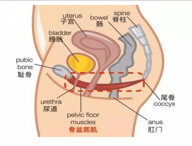 马伊琍发文曝女性产后隐痛！她泪目了