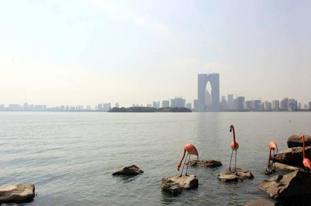 苏州2020各市上半年g_苏州地铁线路图2020