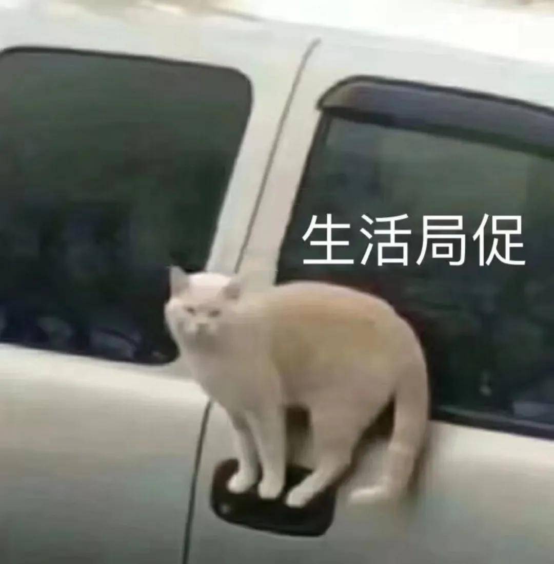 a155a868088c426e871f298cfa7ce0a3.jpeg