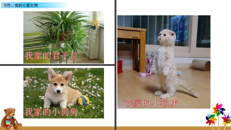 部编版小学语文五年级上册习作一《我的心爱之物》习作指导 范文 图文