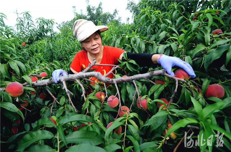 河北孟2020gdp_2020姓氏微信头像孟(2)