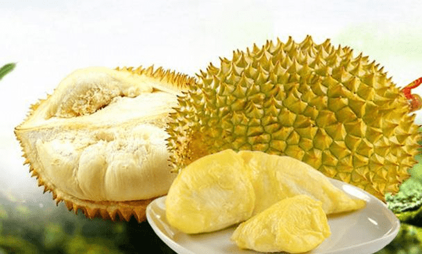76103caa57434a6b884df4c4c7ee80d7.png