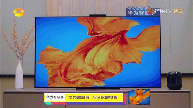 功能|神秘大咖来袭？华为智慧屏“智慧管家”和《元气哥哥》陪你一起元气满满！