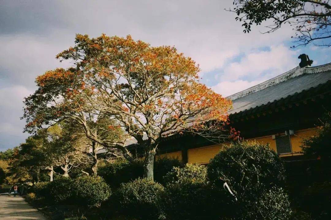 他山之石|日本水上町“农村大公园”的乡村振兴之路