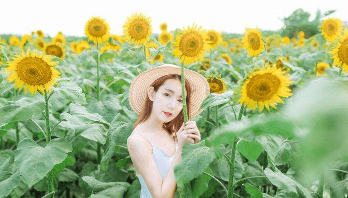 73798eedb12d4753adc8e3a34fed6d4b.png