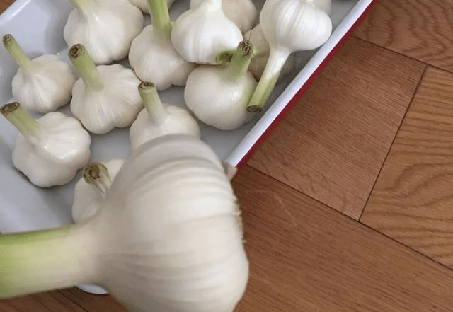 蒜头怎么剥最快 053b4643b29d49659ea21c1a3d97587e.png