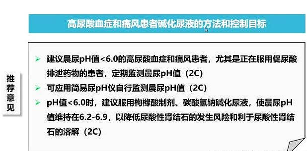 怎么预防痛风吃什么降尿酸最快 4fa366dc27294de98b1a968a120caa69.jpeg