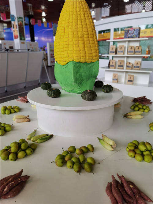 阿里巴巴西北首家村播基地授牌暨“百千万”工程启动仪式在咸阳武功举行|阿里巴巴西北首家村播基地授牌暨“百千万”工程启动仪式在咸阳武功举行