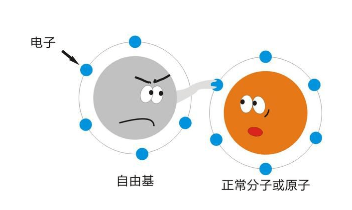 震惊,抗氧化力是vc的6000倍?青春池为你揭秘_手机搜狐网