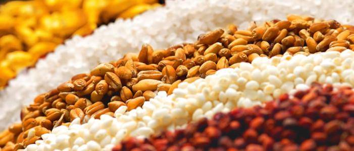 酿酒技术|酿酒把握好这几大要素，是提高出酒率的关键