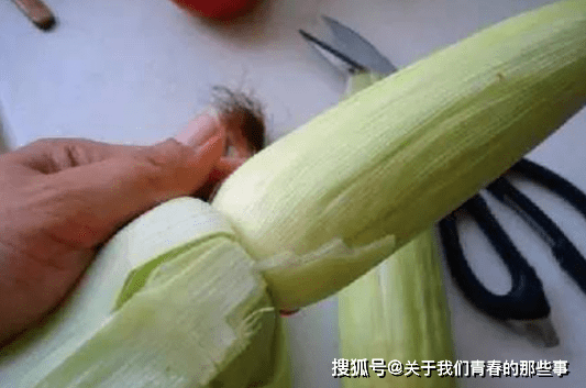 流失|直接用清水煮就错了！多放2种料，玉米软糯香甜，更好吃煮玉米