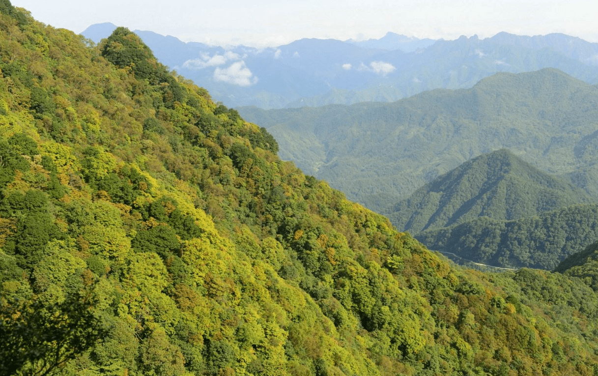 四川南江县人口GDP_四川南江县(2)