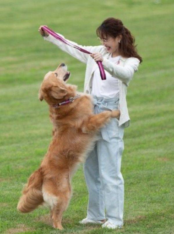 服装|还不清楚周海媚为何53岁无人娶？看她穿稚嫩装后，答案一清二楚了